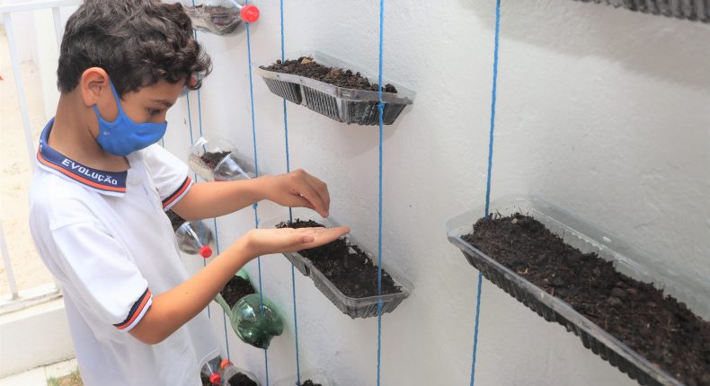 Criação de hortinha suspensa encanta alunos do 2º ano