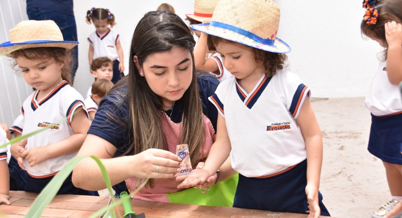 Turminhas do Infantil II participam de atividade em hortinha