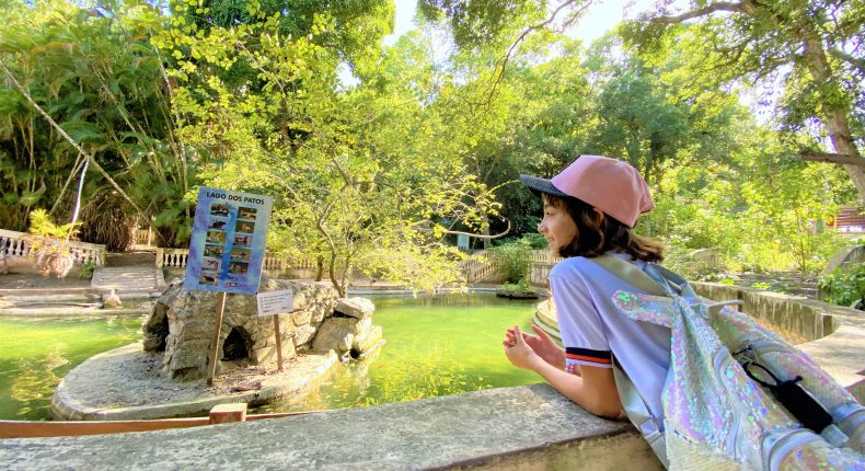 Aula de campo na Bica: estudo sobre a Mata Atlântica encanta alunos do 5º ano