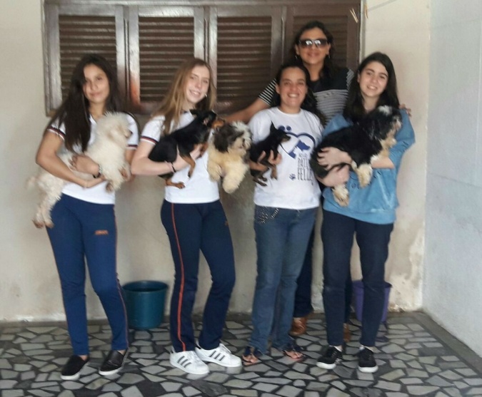 II ANO DO PROJETO ANIMAL NÃO É BRINQUEDO, POIS SENTE FOME, FRIO E MEDO!